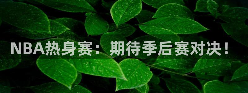 NBA热身赛：期待季后赛对决！