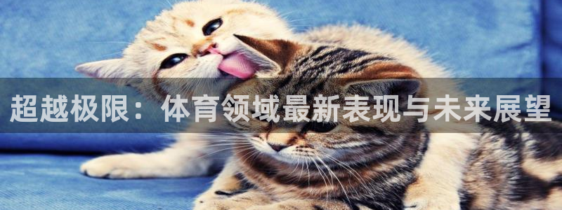 超越极限：体育领域最新表现与未来展望
