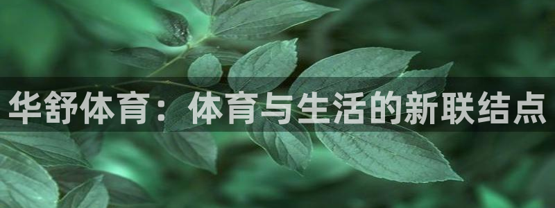 华舒体育：体育与生活的新联结点