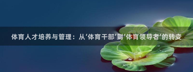 360直播足球nba
