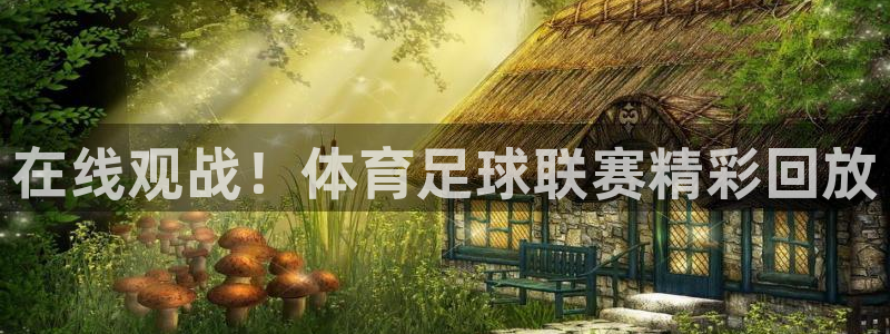 篮球360直播：在线观战！体育足球联赛精